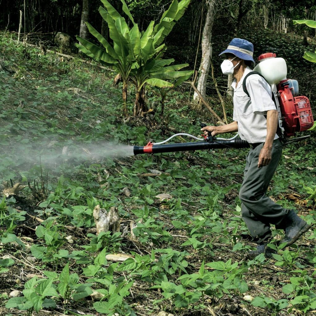 A farmer sprays pesticides in a lush forest area near Manacapuru, Brazil.